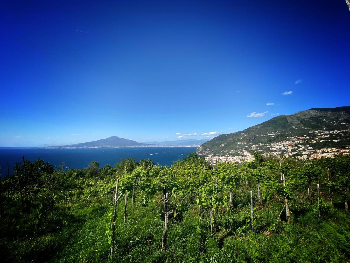 La Badia Montechiaro - Breathtaking View Of Sorrento Coast Villa Vico Equense Bagian luar foto