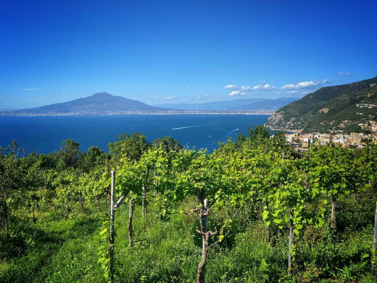 La Badia Montechiaro - Breathtaking View Of Sorrento Coast Villa Vico Equense Bagian luar foto