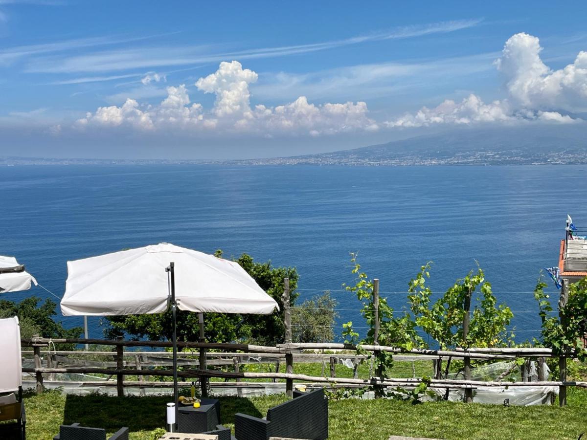 La Badia Montechiaro - Breathtaking View Of Sorrento Coast Villa Vico Equense Bagian luar foto