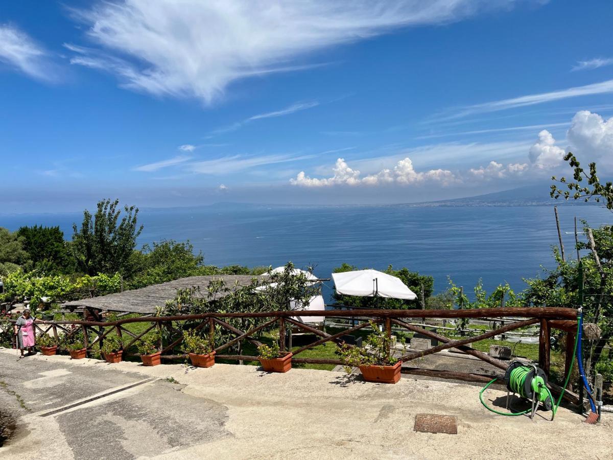 La Badia Montechiaro - Breathtaking View Of Sorrento Coast Villa Vico Equense Bagian luar foto